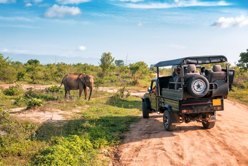 jeep v safari sri lanskej prirode stojaci na prasnej ceste a jeho posadka sa pozera na divoke slony v safari