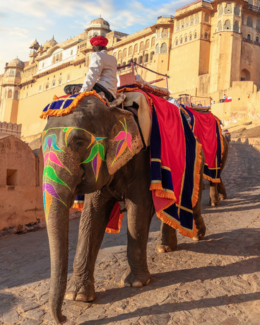 Jazda na slonoch v Amber Fort v Jaipur v Indii